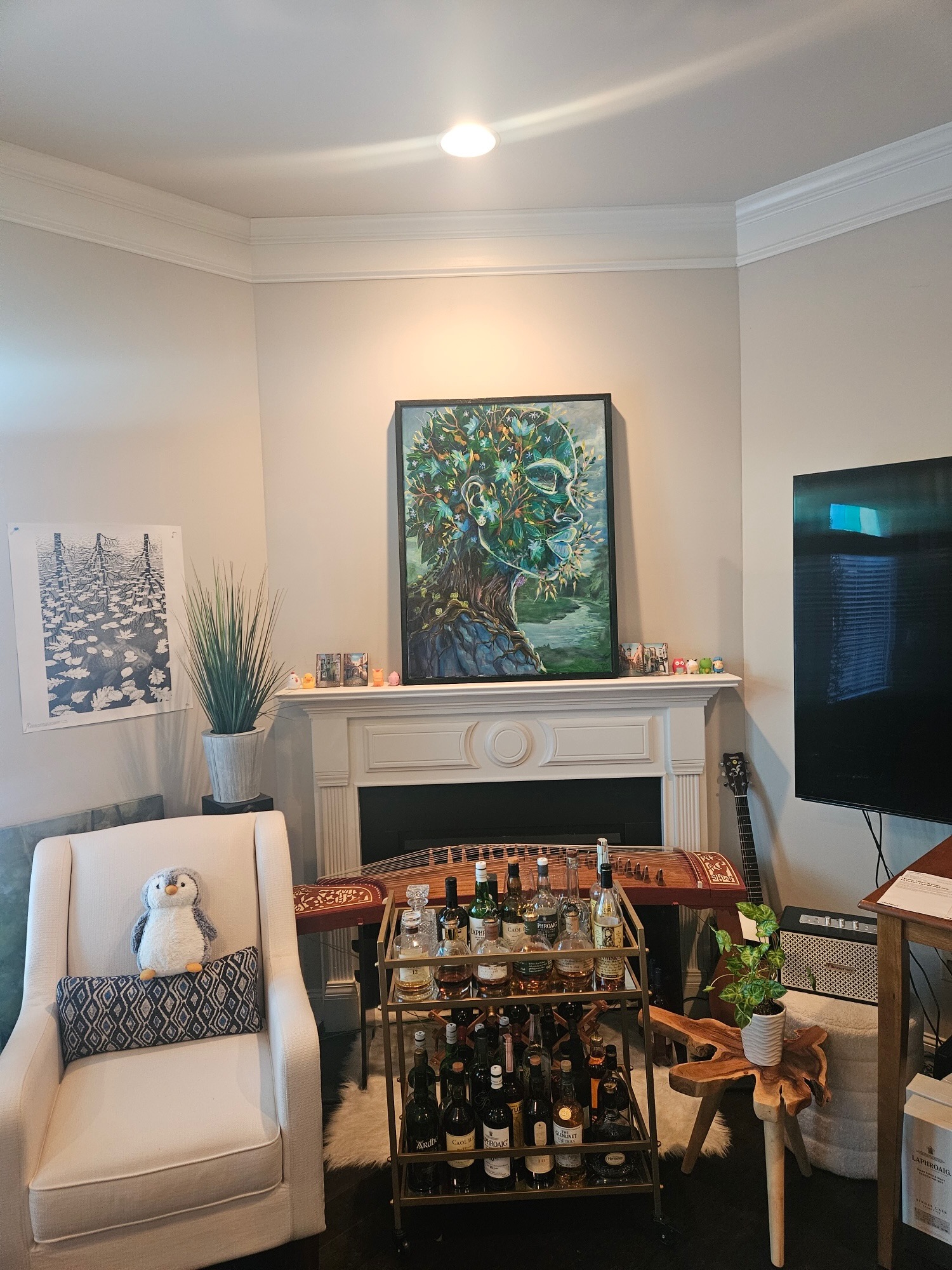 DNA in a collector's home